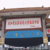 河北省永年县南大堡市场